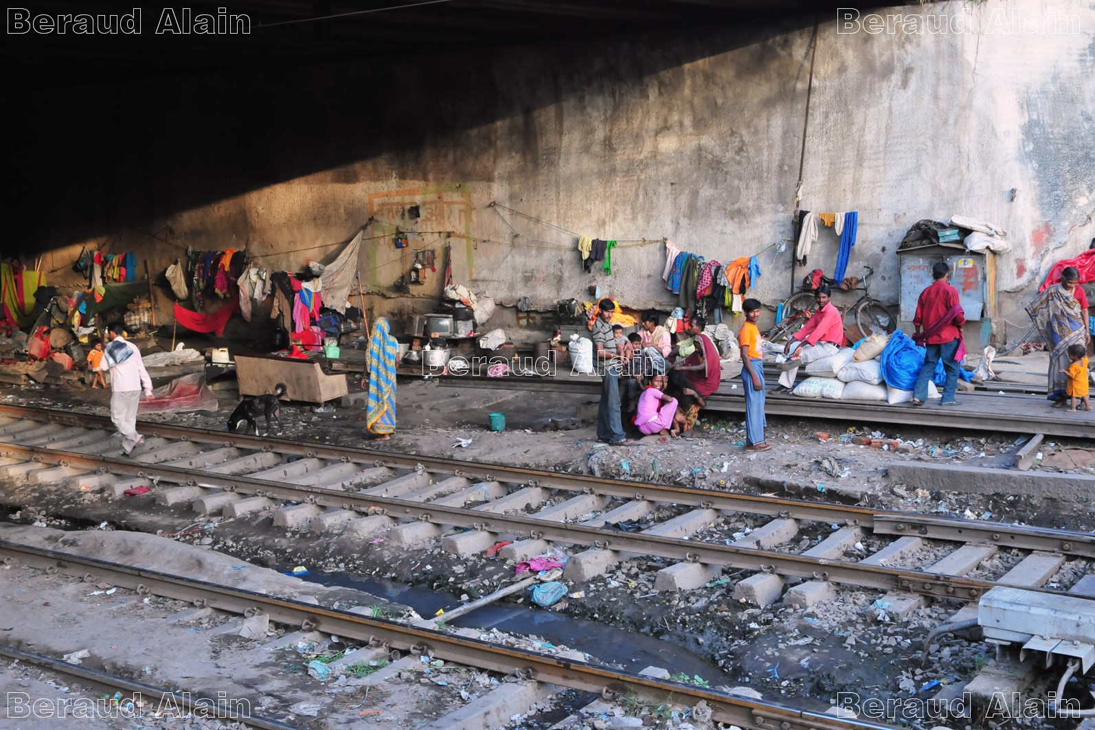 03 Camp autour des rails 
